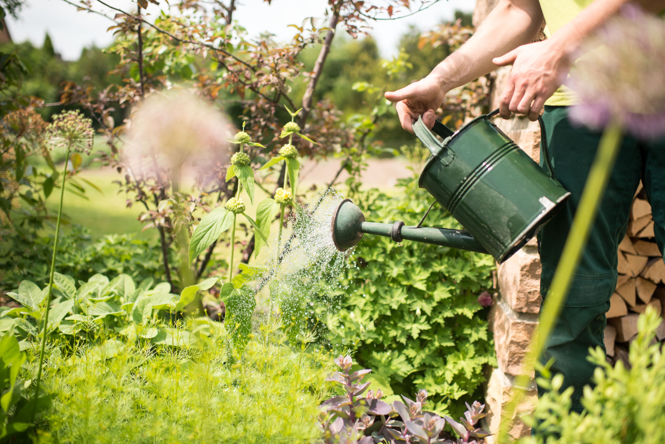 Gepflegter Garten bei der Arbeit
